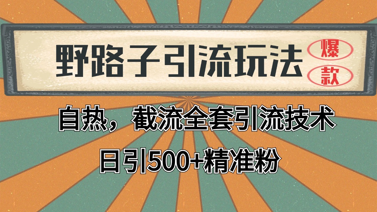 2024首发野路子引流玩法截流自热全平台打法，全自动引流【日引2000+精准客户】网赚项目-副业赚钱-互联网创业-资源整合南风学院