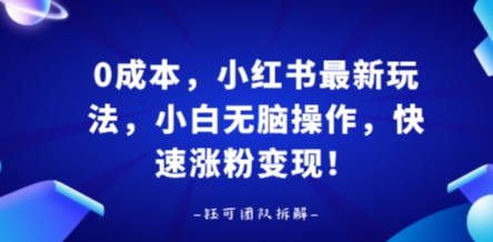0成本，小红书最新玩法，小白无脑操作，快速涨粉变现网赚项目-副业赚钱-互联网创业-资源整合南风学院