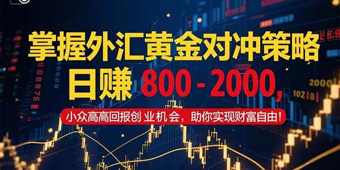 （15198期）掌握外汇黄金对冲策略，日赚 800 – 2000，小众高回报创业机会，助你实…网赚项目-副业赚钱-互联网创业-资源整合南风学院