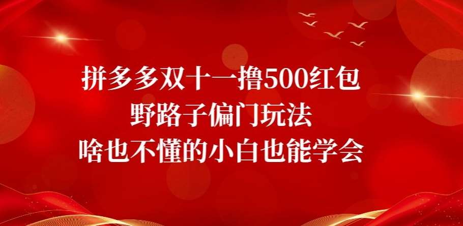 拼多多双十一撸500红包野路子偏门玩法，啥也不懂的小白也能学会【揭秘】网赚项目-副业赚钱-互联网创业-资源整合南风学院