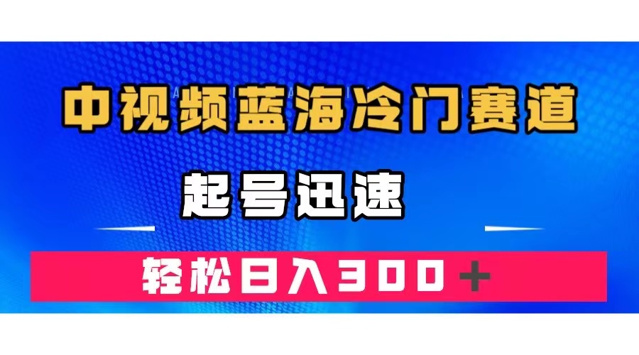 中视频蓝海冷门赛道，韩国视频奇闻解说，起号迅速，日入300＋网赚项目-副业赚钱-互联网创业-资源整合南风学院