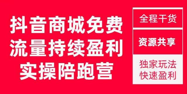 抖音商城搜索持续盈利陪跑成长营，抖音商城搜索从0-1、从1到10的全面解决方案网赚项目-副业赚钱-互联网创业-资源整合南风学院