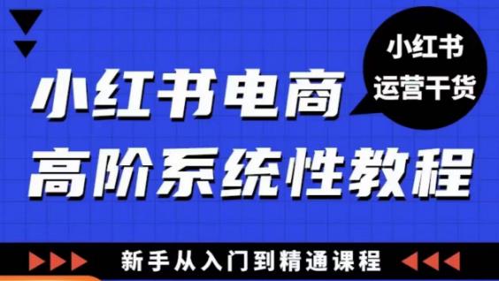 小红书电商高阶系统教程，新手从入门到精通系统课网赚项目-副业赚钱-互联网创业-资源整合南风学院