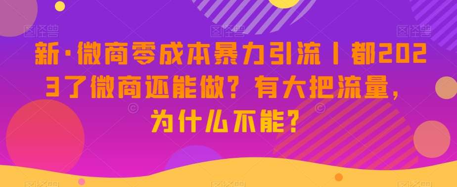新·微商零成本暴力引流丨都2023了微商还能做？有大把流量，为什么不能？网赚项目-副业赚钱-互联网创业-资源整合南风学院
