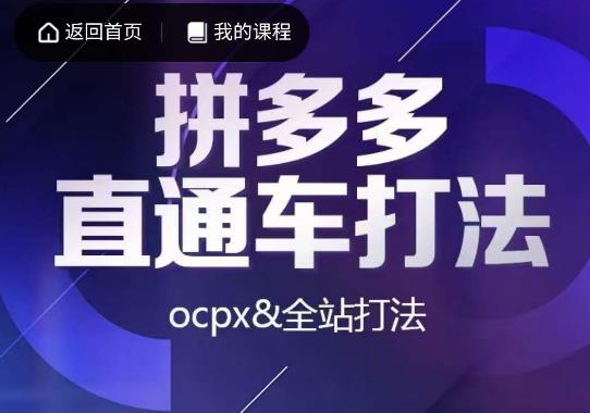 互力·拼多多直通车打法，ocpx&全站打法网赚项目-副业赚钱-互联网创业-资源整合南风学院