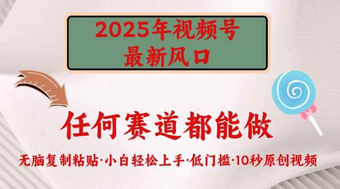 （14453期）2025年视频号新风口，低门槛只需要无脑执行网赚项目-副业赚钱-互联网创业-资源整合南风学院