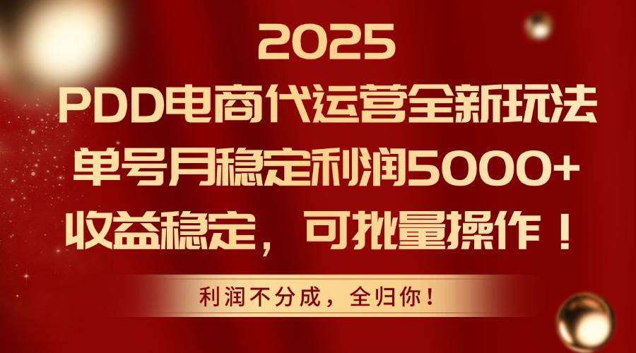 （14839期）2025PDD电商代运营全新玩法，单号月稳定利润5000+，收益稳定，可批量操作网赚项目-副业赚钱-互联网创业-资源整合南风学院
