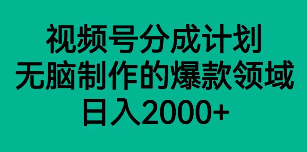 视频号分成计划,轻松无脑制作的爆款领域,日入2000+网赚项目-副业赚钱-互联网创业-资源整合南风学院