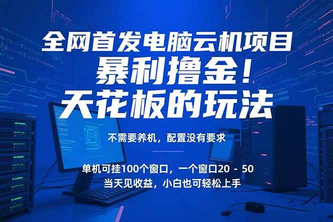 （15323期）电脑云机项目 暴力撸金玩法，不需要养机 配置没有要求 单机100个窗口一…网赚项目-副业赚钱-互联网创业-资源整合南风学院