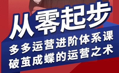 拼多多运营进阶系统课，从零起步，多多运营进阶体系课，破茧成蝶的运营之术网赚项目-副业赚钱-互联网创业-资源整合南风学院