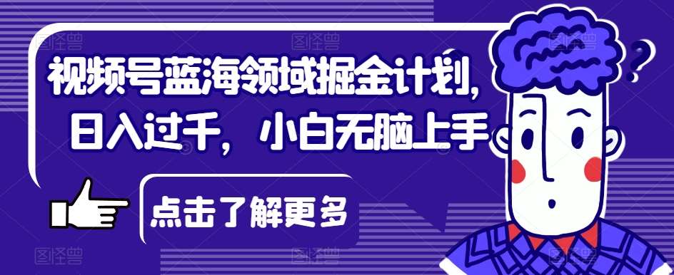 视频号蓝海领域掘金计划，日入过千，小白无脑上手【揭秘】网赚项目-副业赚钱-互联网创业-资源整合南风学院