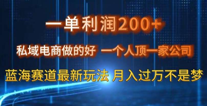 一单利润200私域电商做的好,一个人顶一家公司蓝海赛道最新玩法【揭秘】网赚项目-副业赚钱-互联网创业-资源整合南风学院
