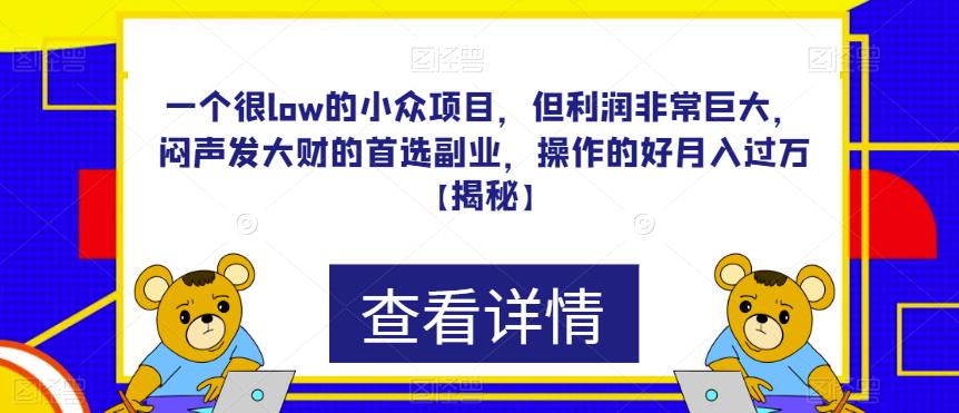 一个很low的小众项目，但利润非常巨大，闷声发大财的首选副业，操作的好月入过万【揭秘】网赚项目-副业赚钱-互联网创业-资源整合南风学院