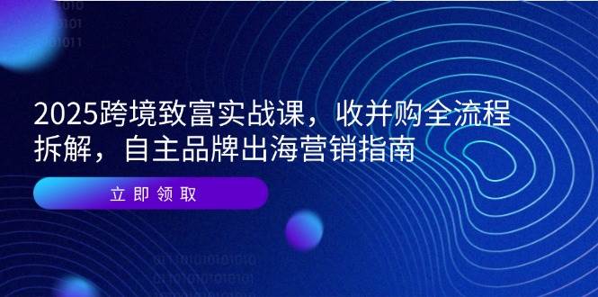 （14975期）2025跨境致富实战课，收并购全流程拆解，自主品牌出海营销指南网赚项目-副业赚钱-互联网创业-资源整合南风学院