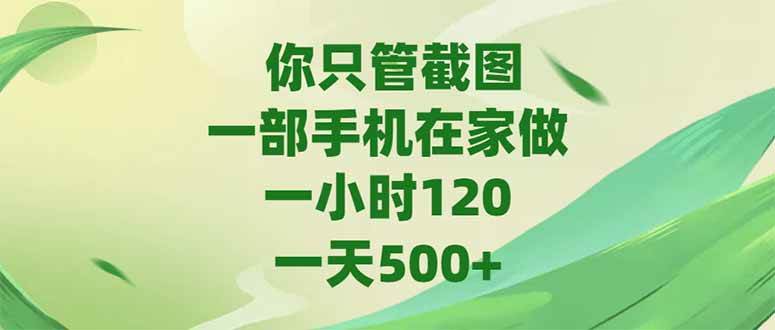 (15039期)你只管截图,一部手机在家做,一小时120,-天500+网赚项目-副业赚钱-互联网创业-资源整合南风学院