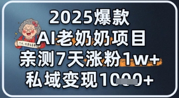 2025爆款 AI 老奶奶项目:亲测 7 天涨粉 1W+,私域变现 1k+