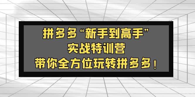 拼多多“新手到高手”实战特训营：带你全方位玩转拼多多网赚项目-副业赚钱-互联网创业-资源整合南风学院