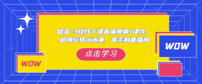 哈哥·3月线下实操课高清视频+课件，如何玩转小而美，高毛利直播间网赚项目-副业赚钱-互联网创业-资源整合南风学院