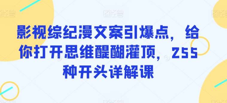 影视综纪漫文案引爆点，给你打开思维醍醐灌顶，255种开头详解课网赚项目-副业赚钱-互联网创业-资源整合南风学院