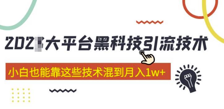 大平台黑科技引流技术，小白也能靠这些技术混到月入1w+(2022年的课程）网赚项目-副业赚钱-互联网创业-资源整合南风学院