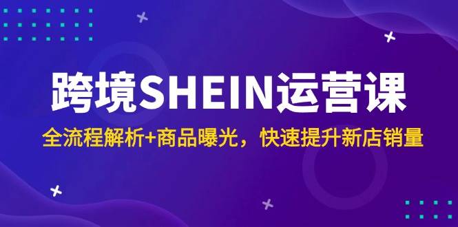 （14832期）跨境SHEIN运营课，全流程解析+商品曝光，快速提升新店销量网赚项目-副业赚钱-互联网创业-资源整合南风学院