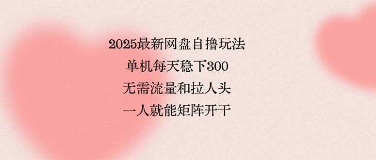 （15831期）2025最新网盘自撸玩法，单机每天稳下3张，无需流量和拉人头，一个人就…网赚项目-副业赚钱-互联网创业-资源整合南风学院