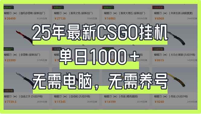 (14178期)25年最新CSGO挂机系统,单日1000+,无需电脑,无需养号,0基础可上手网赚项目-副业赚钱-互联网创业-资源整合南风学院