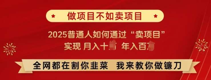 必看!做项目不如卖项目，2025普通人如何通过“卖项目”实现月入十个，年入百个【揭秘】网赚项目-副业赚钱-互联网创业-资源整合南风学院