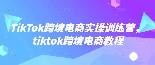 TikTok跨境电商实操训练营，tiktok跨境电商教程网赚项目-副业赚钱-互联网创业-资源整合南风学院