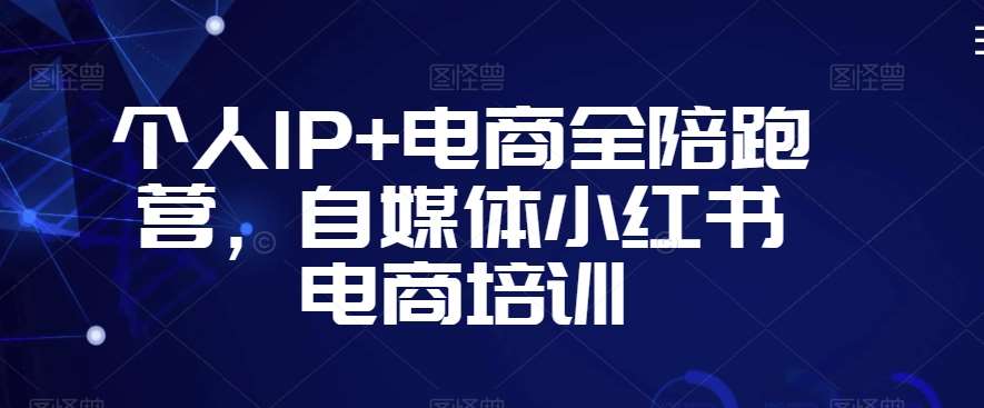 个人IP+电商全陪跑营，自媒体小红书电商培训网赚项目-副业赚钱-互联网创业-资源整合南风学院