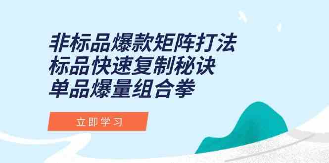 非标品爆款矩阵打法，标品快速复制秘诀，单品爆量组合拳网赚项目-副业赚钱-互联网创业-资源整合南风学院