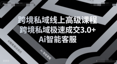 跨境私域线上高级课程，跨境私域极速成交3.0+Ai智能客服网赚项目-副业赚钱-互联网创业-资源整合南风学院