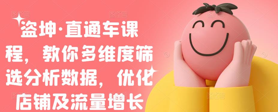 盗坤·直通车课程，教你多维度筛选分析数据，优化店铺及流量增长网赚项目-副业赚钱-互联网创业-资源整合南风学院