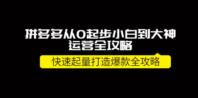拼多多从0起步小白到大神运营全攻略网赚项目-副业赚钱-互联网创业-资源整合南风学院