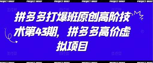 拼多多打爆班原创高阶技术第43期，拼多多高价虚拟项目网赚项目-副业赚钱-互联网创业-资源整合南风学院