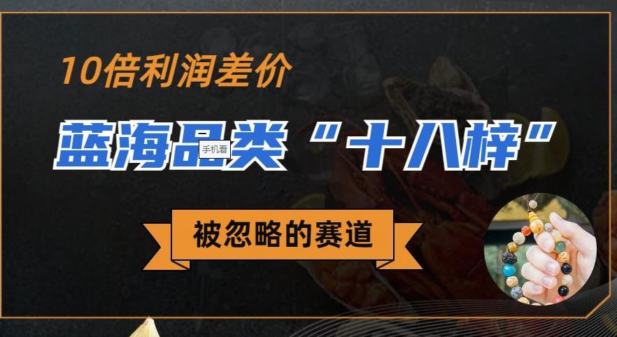 被忽略的蓝海品类“十八籽”，10倍的利润差价，同行一天几十单【揭秘】网赚项目-副业赚钱-互联网创业-资源整合南风学院