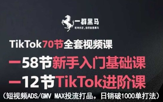 TikTok全套视频课，新手入门+进阶课，短视频ADS-GMV MAX投流打品，日销破1000单打法网赚项目-副业赚钱-互联网创业-资源整合南风学院