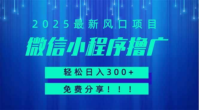 （14375期）微信小程序撸广，最新风口项目，日入300+ 免费分享 可批量操作 小白可…网赚项目-副业赚钱-互联网创业-资源整合南风学院