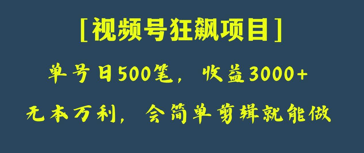 日收款500笔，纯利润3000+，视频号狂飙项目！网赚项目-副业赚钱-互联网创业-资源整合南风学院