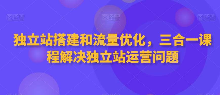 独立站搭建和流量优化，三合一课程解决独立站运营问题网赚项目-副业赚钱-互联网创业-资源整合南风学院