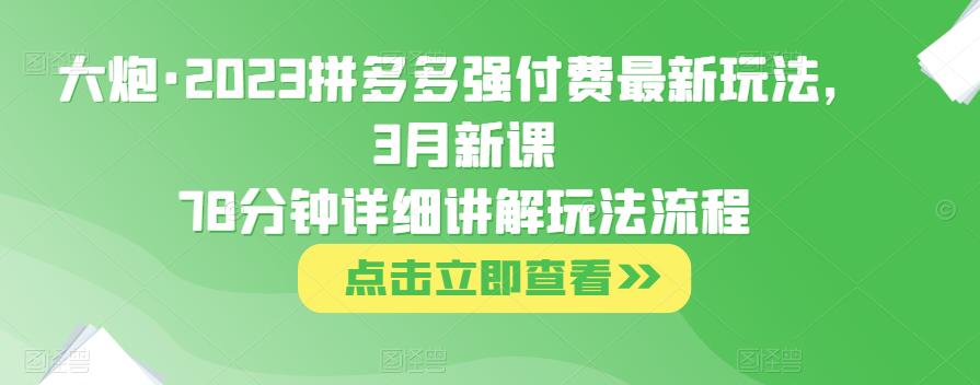 大炮·2023拼多多强付费最新玩法，3月新课​78分钟详细讲解玩法流程网赚项目-副业赚钱-互联网创业-资源整合南风学院