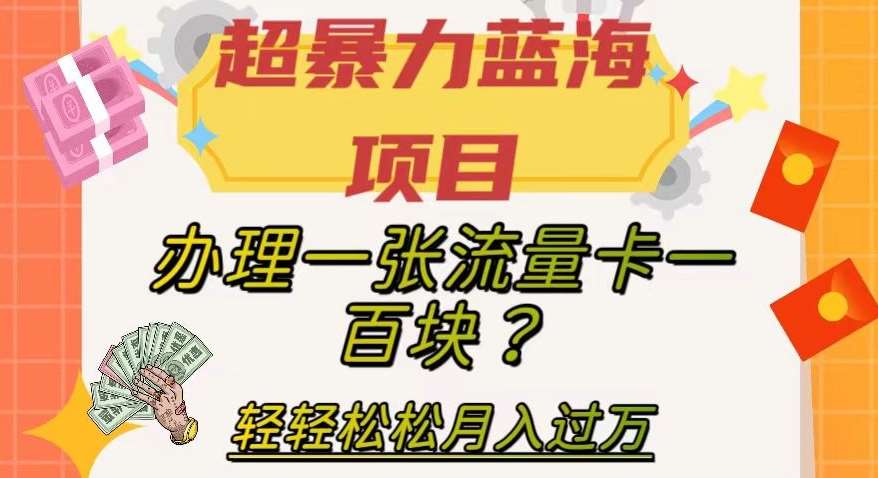 超暴力蓝海项目，办理一张流量卡一百块？轻轻松松月入过万，保姆级教程【揭秘】网赚项目-副业赚钱-互联网创业-资源整合南风学院