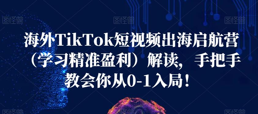 海外TikTok短视频出海启航营（学习精准盈利）解读，手把手教会你从0-1入局！网赚项目-副业赚钱-互联网创业-资源整合南风学院