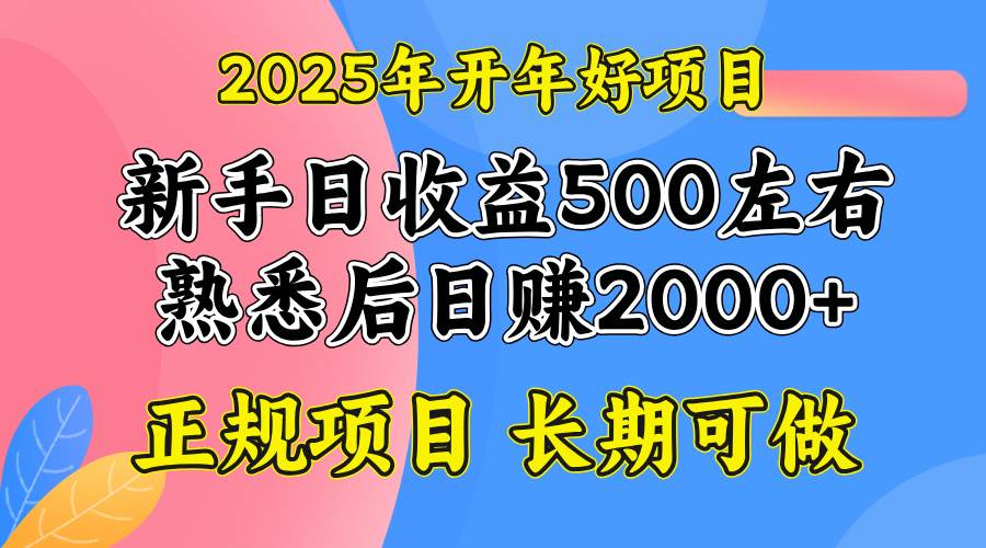 （14076期）2025开年好项目，单号日收益2000左右网赚项目-副业赚钱-互联网创业-资源整合南风学院