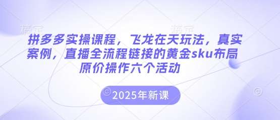 拼多多实操课程，飞龙在天玩法，真实案例，直播全流程链接的黄金sku布局原价操作六个活动网赚项目-副业赚钱-互联网创业-资源整合南风学院