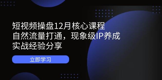 （14447期）短视频操盘12月核心课程：自然流量打通，现象级IP养成，实战经验分享网赚项目-副业赚钱-互联网创业-资源整合南风学院