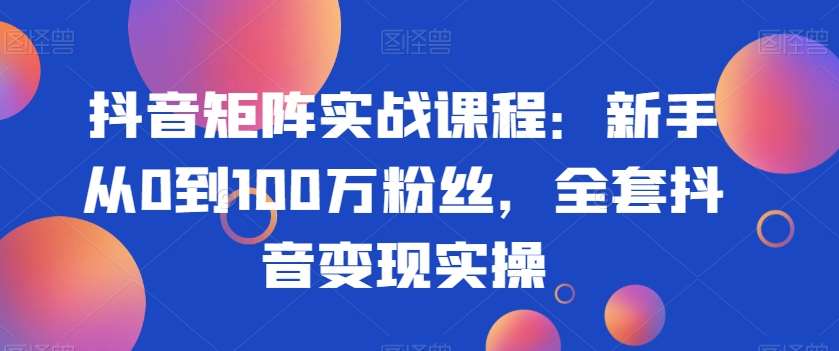 抖音矩阵实战课程：新手从0到100万粉丝，全套抖音变现实操网赚项目-副业赚钱-互联网创业-资源整合南风学院