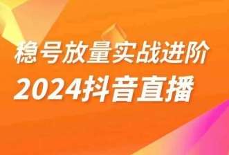 稳号放量实战进阶—2024抖音直播，直播间精细化运营的几大步骤网赚项目-副业赚钱-互联网创业-资源整合南风学院