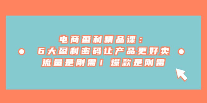 电商 盈利精品课：6大盈利 密码让产品更好卖，流量是刚需！爆款是刚需网赚项目-副业赚钱-互联网创业-资源整合南风学院