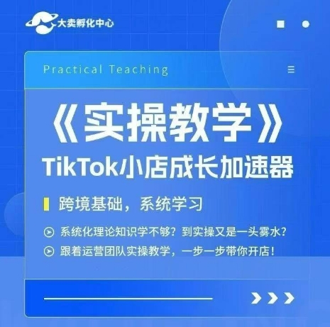 大卖家孵化中心TikTok实操课，TikTok小店成长加速器，跨境基础系统学习，一步一步带你开店网赚项目-副业赚钱-互联网创业-资源整合南风学院